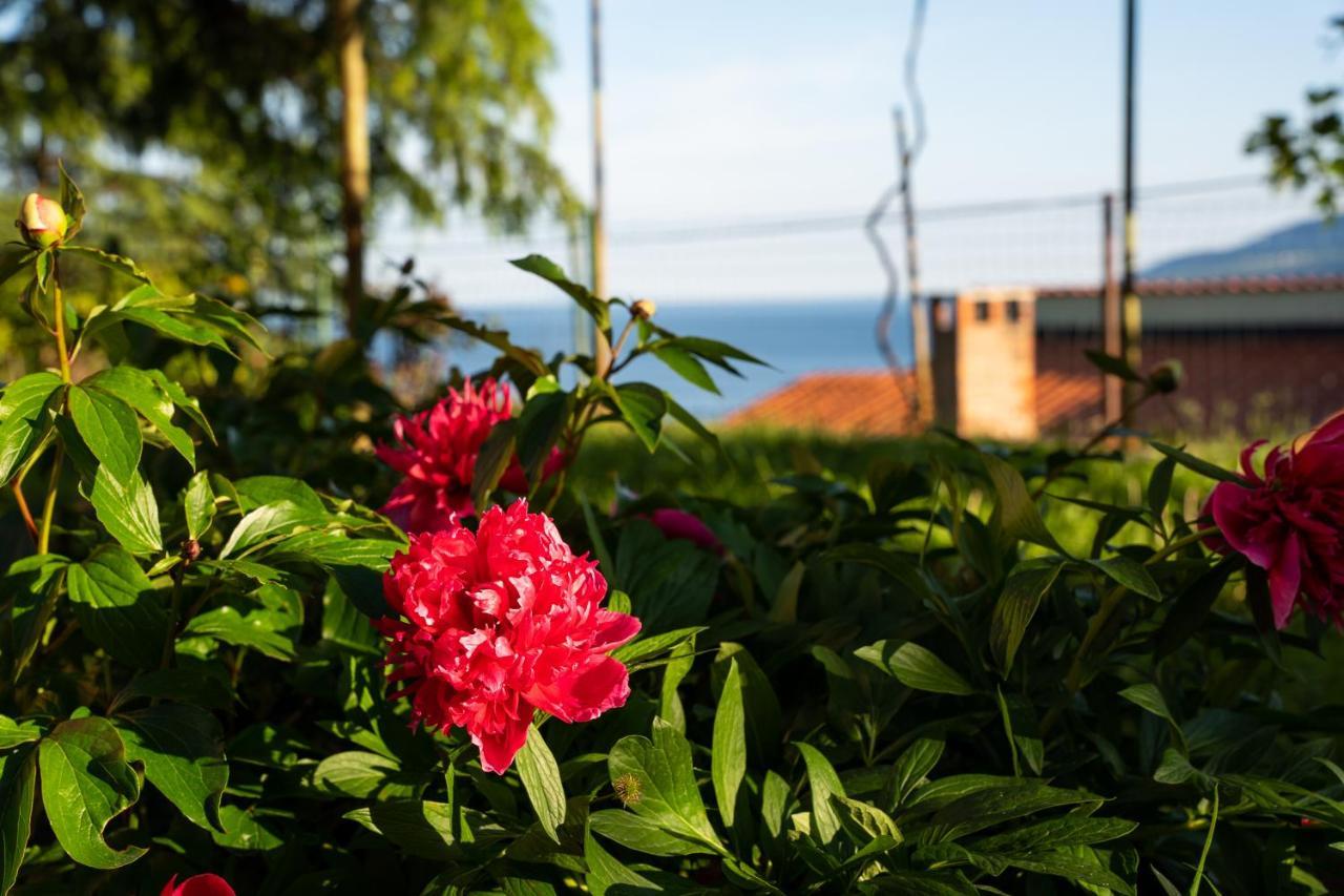 Apartment Stella Marina Rabac Bagian luar foto