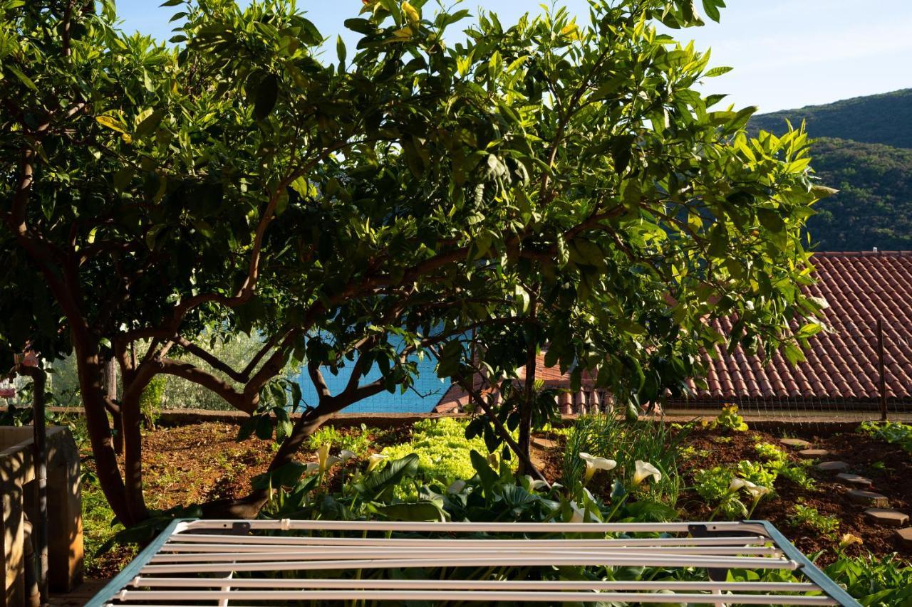 Apartment Stella Marina Rabac Bagian luar foto